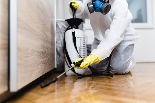 Best Exterminator Services  in Shelton, WA