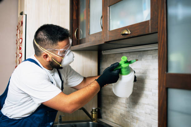 Best Pest Removal Services  in Shelton, WA
