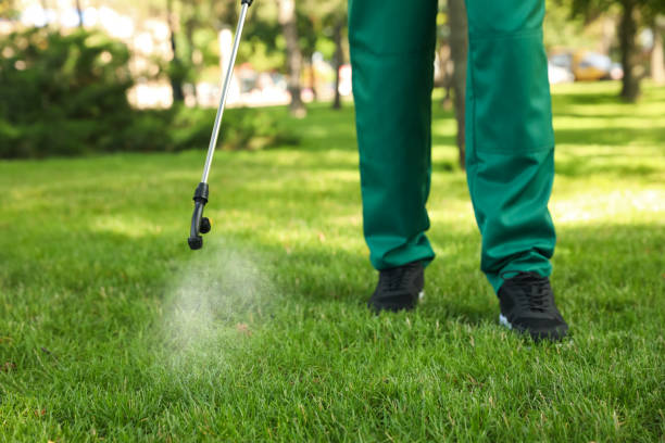 Best Best Pest Control Companies  in Shelton, WA